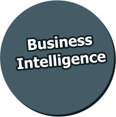 Business Intelligence